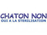 Chaton Non, Oui à la Stérilisation