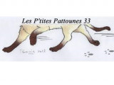 Les P'tites Pattounes 33