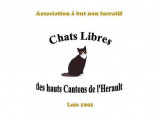 Chats Libres des Hauts Cantons de l'Hérault