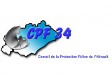 Conseil de la Protection Féline de l'Hérault (CPFH)