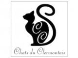 Les Chats du Clermontais