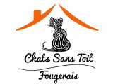Chats Sans Toit Fougerais