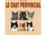 Le Chat Provincial