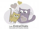 Les Entrechats