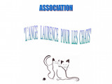 L'ange Laurence pour les chats