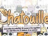 Chat’Ouille association de protection des chats libres de Saint-Ambroix et environs