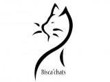 Bisca'chats