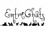 EntreChats