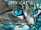 Des Ippy Cat's