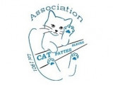 Cat Pattes Bleues