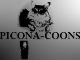 Picona-Coons