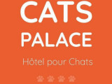 Cats Palace Hotel