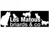 Les Matous Briards & Co
