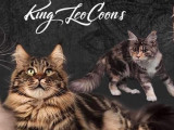 King Léo Coon's