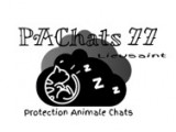 PAChats 77