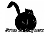 Les petits Chats du Confluent