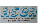 Association pour la Sauvegarde des Chats Abandonnés (ASCA)
