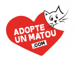 AdopteunMatou.com