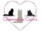 Chamoureux Coon's