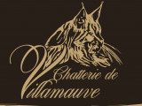 Chatterie de Villamauve