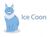 Ice Coon