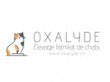 Oxalyde