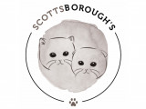Scottsborough's