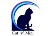 Cat'y'Mini