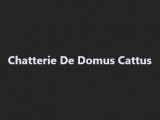 De Domus Cattus