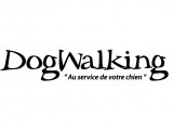 Dogwalking