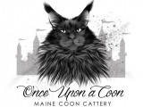 Once Upon a Coon