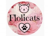 Flolicats