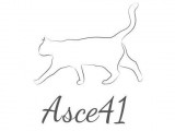 Association de Stérilisation des Chats Errants du 41 (ASCE41)