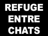 Refuge Entre Chats