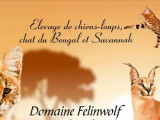 Domaine Felinwolf