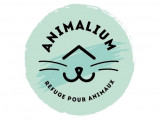 Animalium