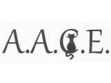 Association d'Aide aux Chats Errants (A.A.C.E.)