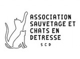 Sauvetage et Chats en Détresse (SCD)