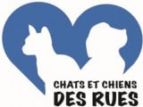 Chats & Chiens des Rues