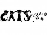 Cats Pirou