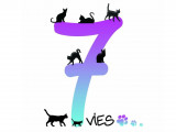 7 Vies de Chats
