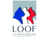 Livre Officiel des Origines Félines (LOOF)
