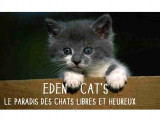 Eden Cat's