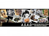 Association Sauvetage Animaux en Détresse (ASAD)
