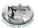 Les Chats du Lacydon