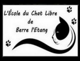École du Chat Libre de Berre-l'Étang