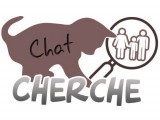 Chat Cherche