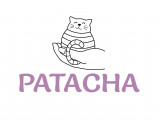 Patacha