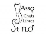Chats Libres Saint-Flo