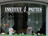 Institut 4 Pattes